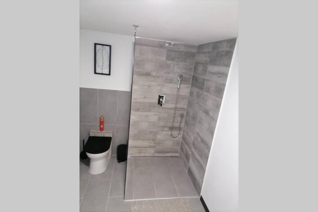 Maison 50 Nuances De Bresse Saint-Didier-en-Bresse Kültér fotó